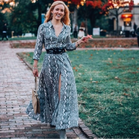 Zara Snakeskin Print Midi Dress - Picture 7 of 8